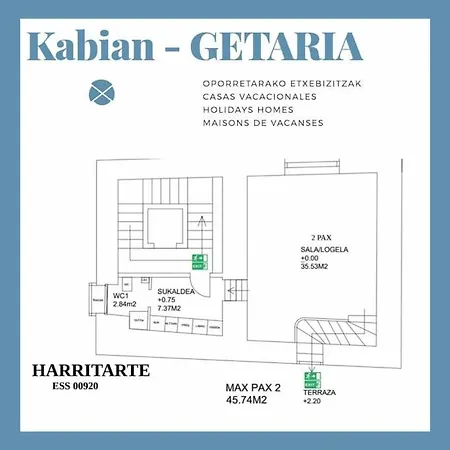 Harritarte *